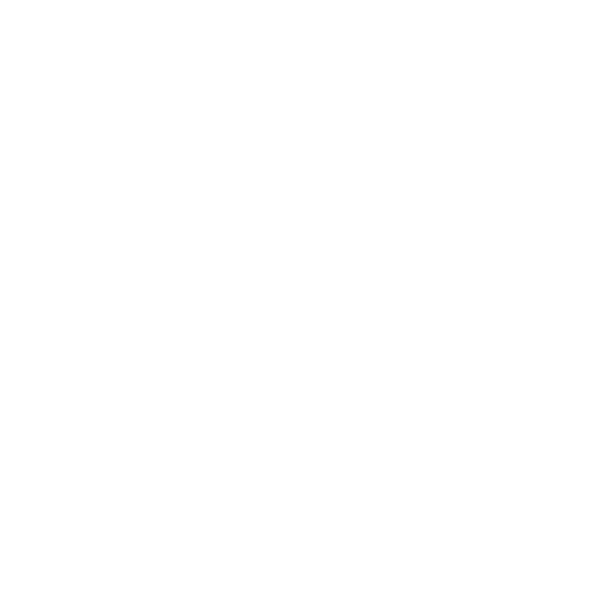 Compliance Icon